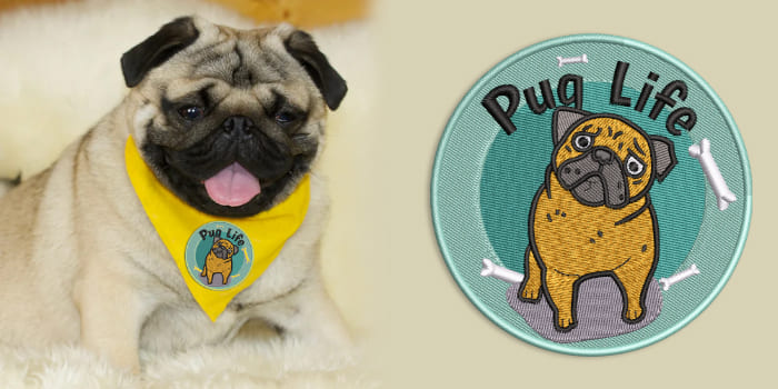 Personalize Patches for Pet Accessories - Cre8iveSkill